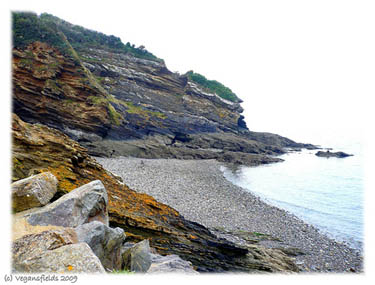 Plougastel 2